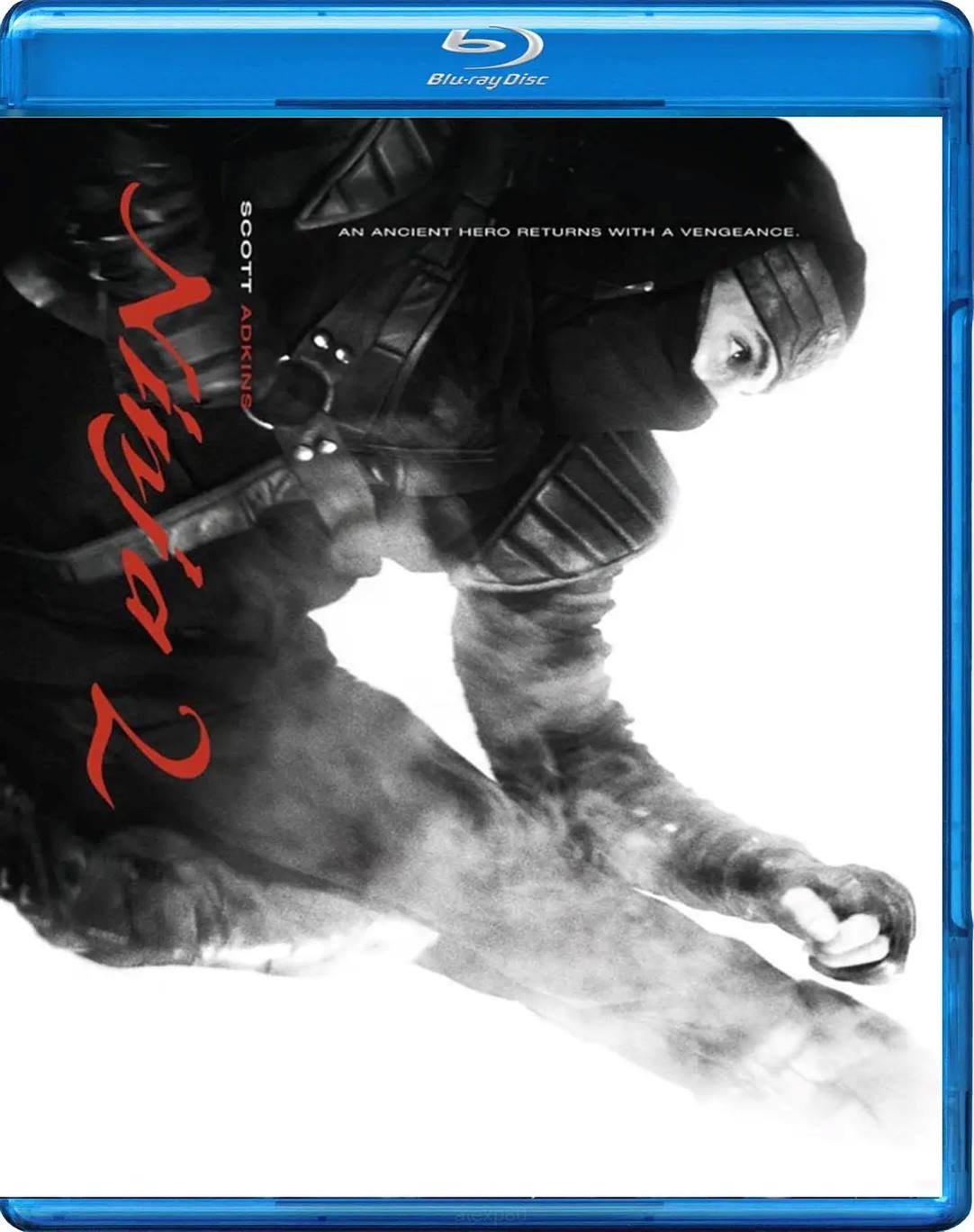 忍者2：撕裂的暗影